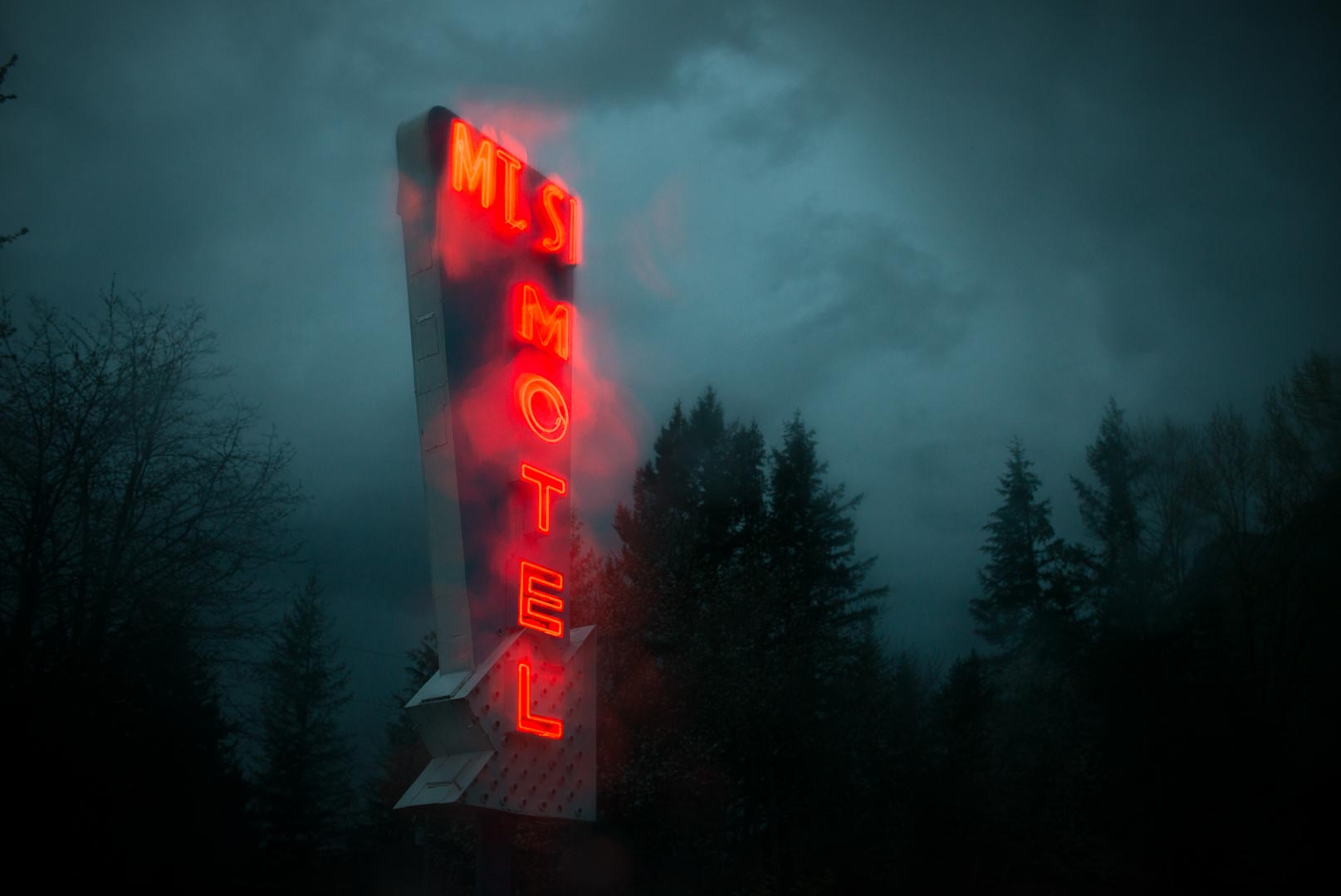 初版・サイン本 Todd Hido / Bright Black World 【公式通販】
